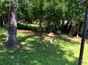 Bush Trimming by Nate Collins for Joseph N. in Arlington, TX