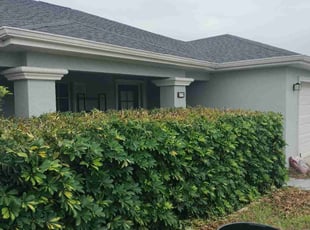 Bush Trimming by Dana Molina for Amber T. in Cape Coral, FL