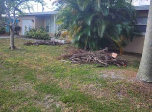 Bush Trimming by Tammy Becker for Troy Hill Rentals A. in Melbourne, FL