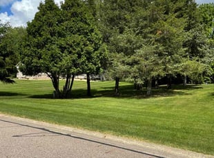 Beth H.'s Lawn Mowing service result