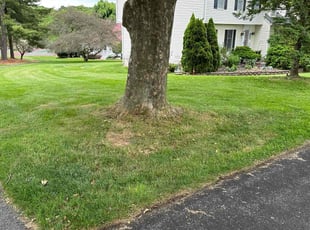 Christian G.'s Lawn Care service result