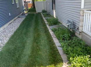 Roberto v.'s Lawn Service service result