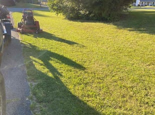 Malissia S.'s Lawn Care service result