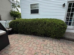 Bush Trimming by Ronald Coleman for John M. in Westerville, OH