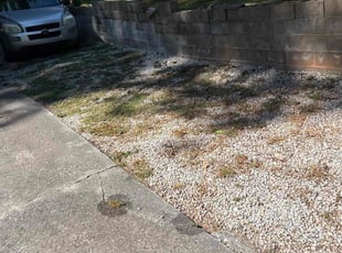 Weeding by Taylor Freeman for Myra B. in Mableton, GA