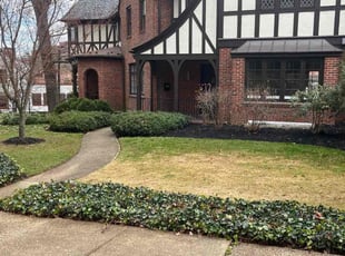 Cleanups by Thomas Fador for Shannon D. in Baltimore, MD