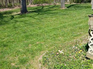Ronald L.'s Lawn Service service result