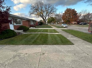 Martha A.'s Lawn Care service result