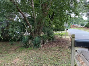 Cleanups by C.J. Cooley for Michelle R. in Powder Springs, GA