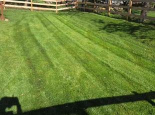 Barbara L.'s Lawn Service service result