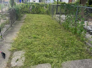 James J.'s Lawn Mowing Service service result