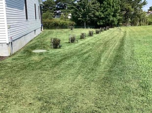 Jenny D.'s Lawn Maintenance service result