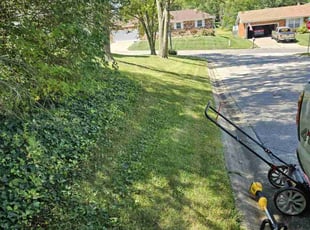 Dawn F.'s Lawn Care service result