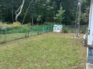 Rickey B.'s Yard Cutting service result