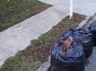 Leaf Removal by Kolin Rhodes for Bryant C. in Conyers, GA