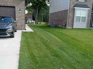 Claire S.'s Lawn Maintenance service result