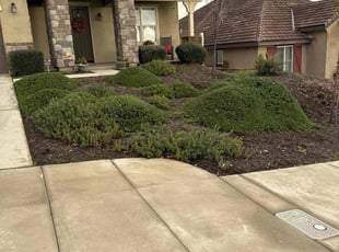 Bush Trimming by Jvon Robinson for Sonja N. in Highland, CA
