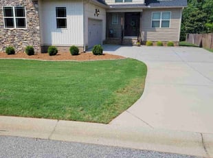 Carolyn G.'s Lawn Care service result