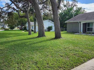 Anton M.'s Lawn Maintenance service result