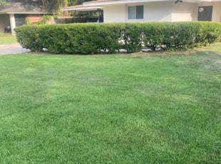 Bush Trimming by Mekeila Morris for Travis D. in Baton Rouge, LA
