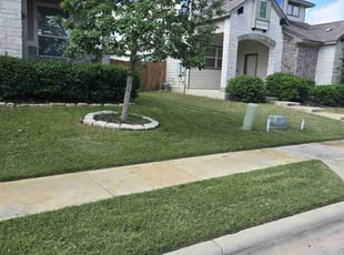 Tori H.'s Lawn Mowing service result