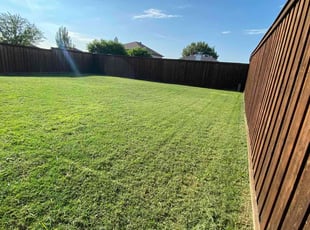 Jessica D.'s Lawn Mowing service result
