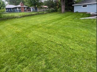 Domonique W.'s Yard Cutting service result