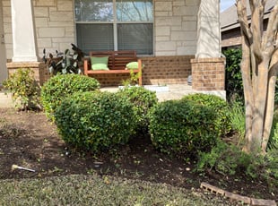 Bush Trimming by Jonathan Johnson for Emily B. in Round Rock, TX