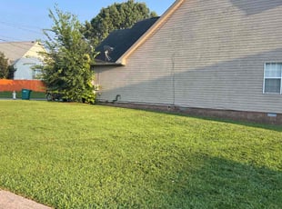 Breanna I.'s Lawn Care service result