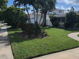 Tom J.'s Lawn Mowing service result