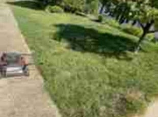 Yvonne B.'s Lawn Service service result