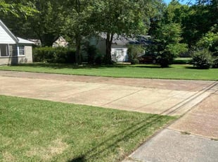 Sarah T.'s Lawn Care service result