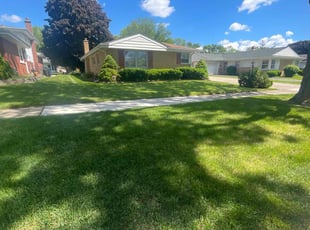 Conn B.'s Lawn Mowing service result