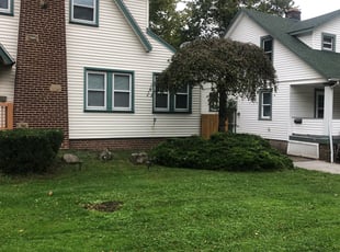 Bush Trimming by Demetrius Bennett Jr for Brittany D. in South Euclid, OH