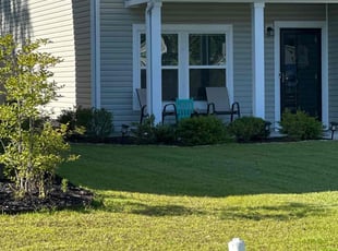 Carmen S.'s Lawn Mowing Service service result