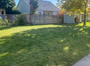 Cory S.'s Lawn Service service result