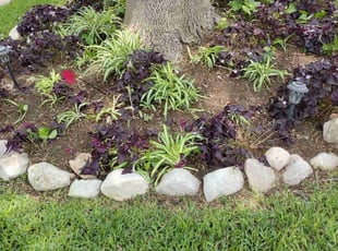 Weeding by David Watson for Patsy H. in Schertz, TX