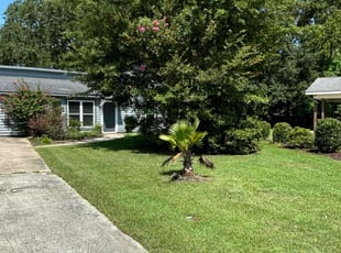 Mike A.'s Lawn Maintenance service result