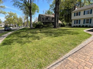 Sandra B.'s Lawn Mowing service result