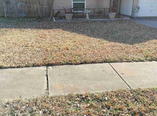 Leaf Removal by Gary Petty for Terri S. in Bedford, TX