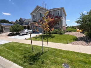 Vladimir V.'s Lawn Mowing service result