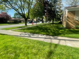 Emma H.'s Lawn Service service result