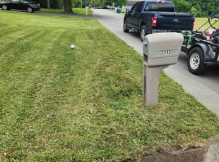 Marcus F.'s Grass Cutting service result