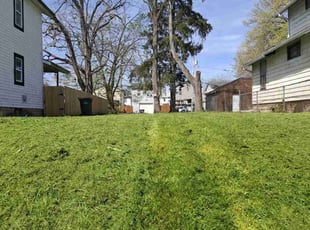 Carlos N.'s Yard Cutting service result