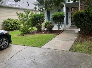 Terri H.'s Lawn Care service result