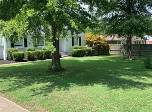 Albert A.'s Yard Cutting service result