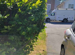 Bush Trimming by Jason Pryor for Nichole B. in Easton, PA