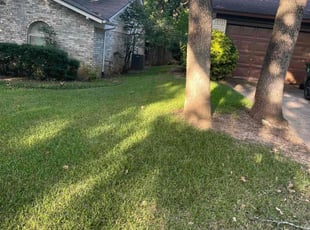 Bridget W.'s Lawn Service service result