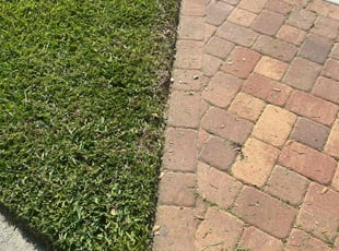 Dana W.'s Lawn Mowing service result