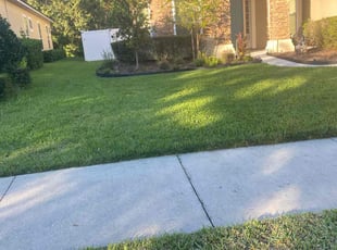 Juan C.'s Lawn Mowing service result